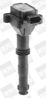 BorgWarner (BERU), Bobine d'allumage