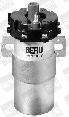 BorgWarner (BERU), Bobine d'allumage