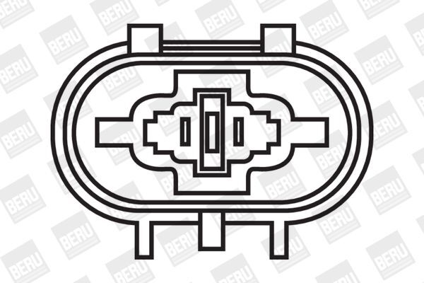 BorgWarner (BERU), Bobine d'allumage