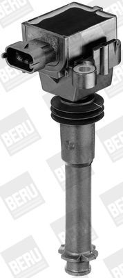 BorgWarner (BERU), Bobine d'allumage