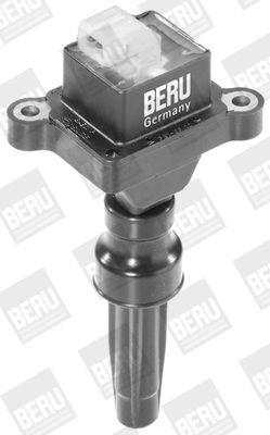 BorgWarner (BERU), Bobine d'allumage