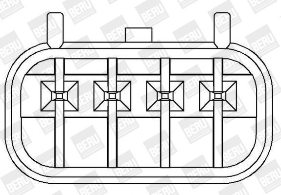 BorgWarner (BERU), Bobine d'allumage