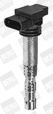 BorgWarner (BERU), Bobine d'allumage