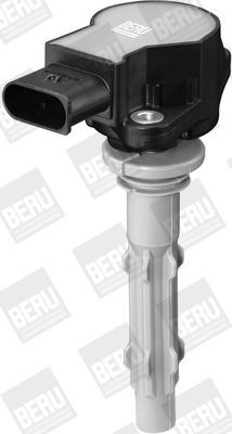 BorgWarner (BERU), Bobine d'allumage