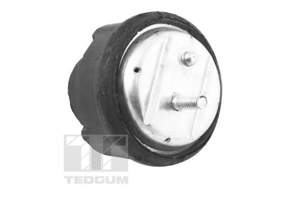 TEDGUM, Support moteur