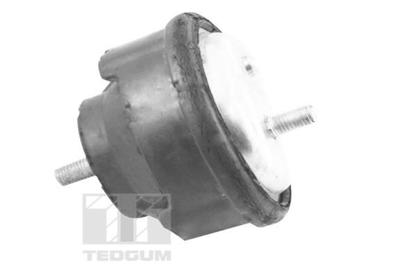 TEDGUM, Support moteur