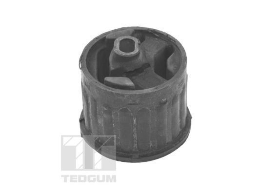 TEDGUM, Support moteur