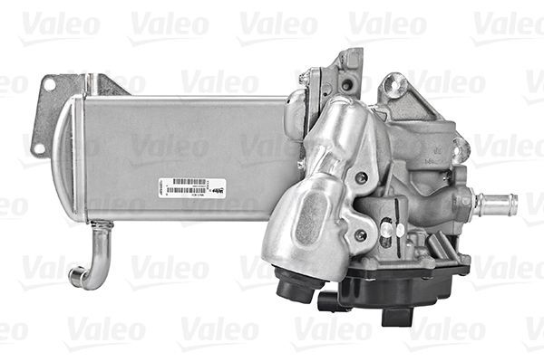 VALEO, Module-EGR