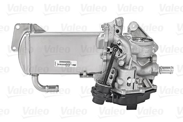 VALEO, Module-EGR