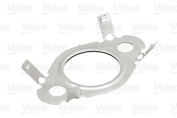 VALEO, Module-EGR