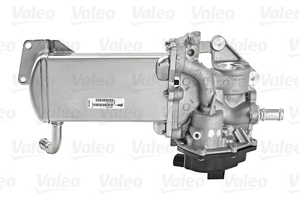 VALEO, Module-EGR