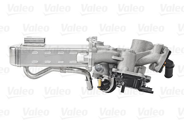 VALEO, Module-EGR