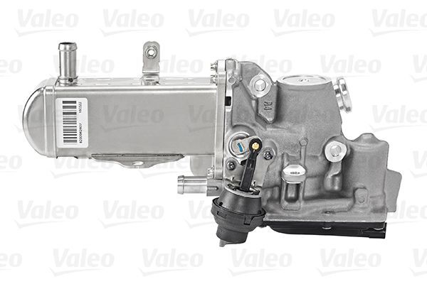 VALEO, Module-EGR