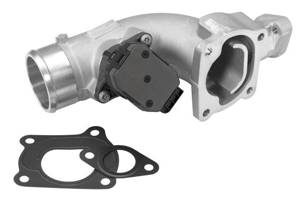 BorgWarner (Wahler), Module-EGR