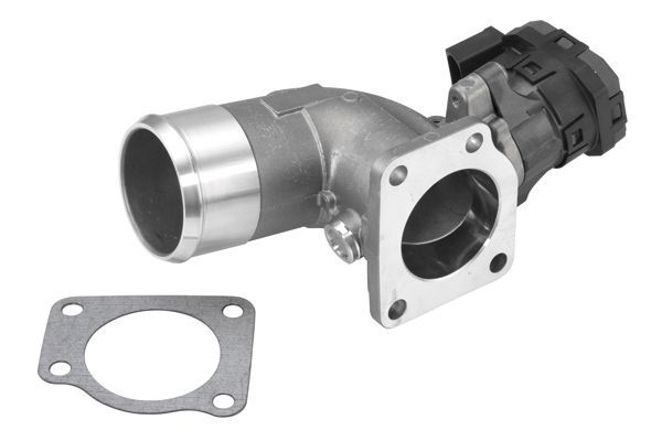 BorgWarner (Wahler), Module-EGR