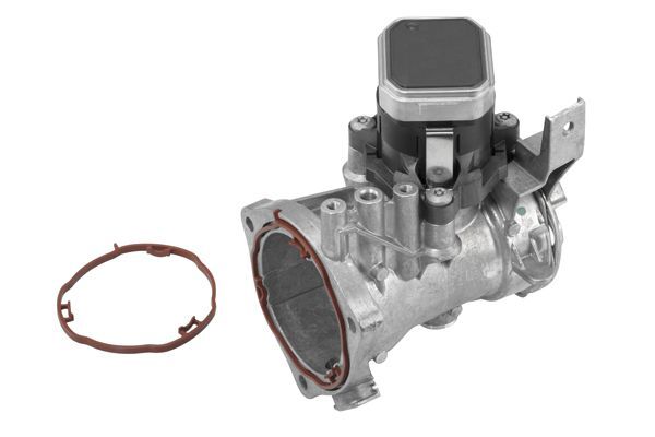 BorgWarner (Wahler), Module-EGR