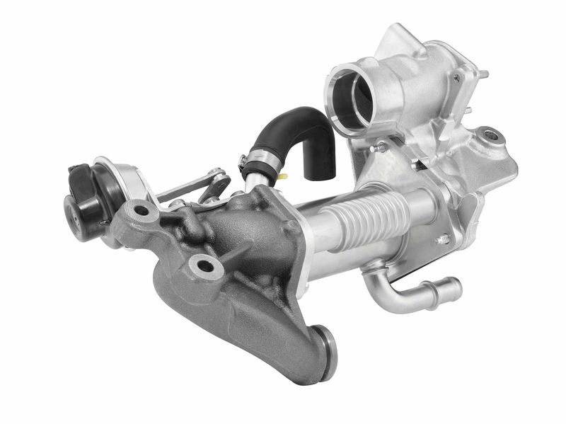 BorgWarner (Wahler), Module de refroidissement