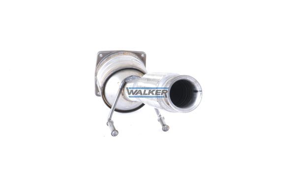 WALKER, Catalyseur