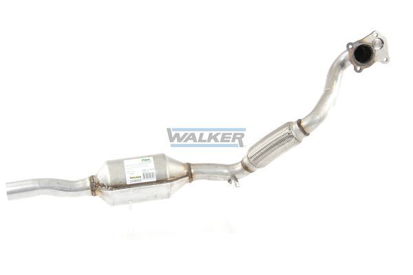 WALKER, Catalyseur