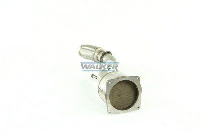 WALKER, Catalyseur