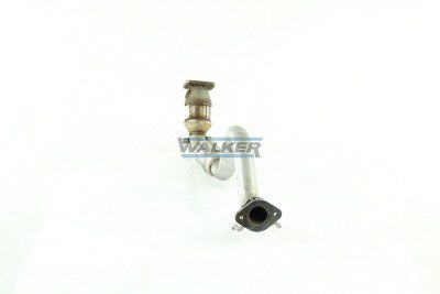 WALKER, Catalyseur