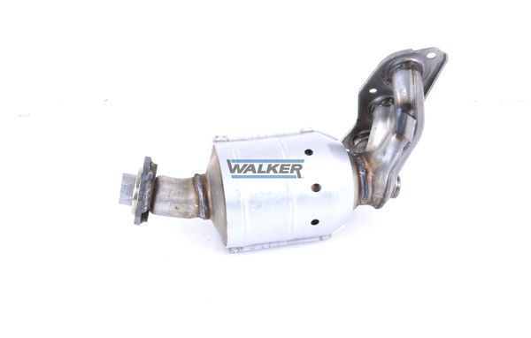 WALKER, Catalyseur