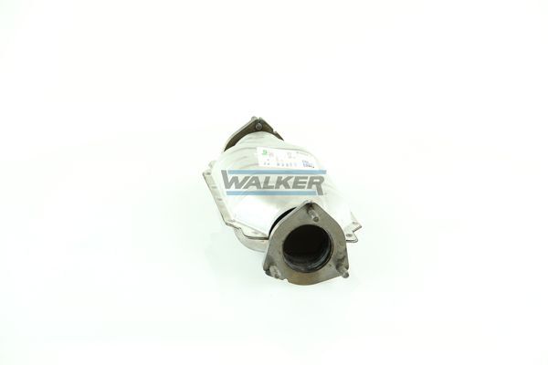 WALKER, Catalyseur