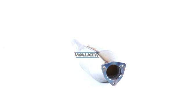 WALKER, Catalyseur