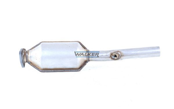 WALKER, Catalyseur