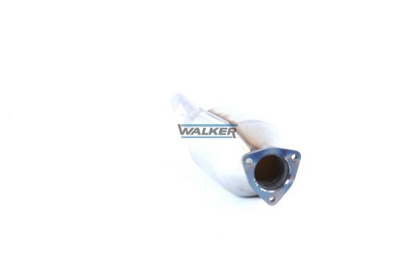 WALKER, Catalyseur