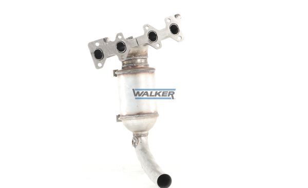 WALKER, Catalyseur