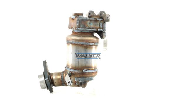 WALKER, Catalyseur