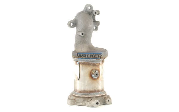 WALKER, Catalyseur