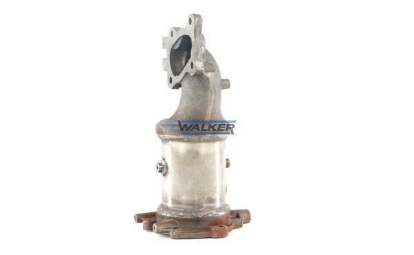 WALKER, Catalyseur