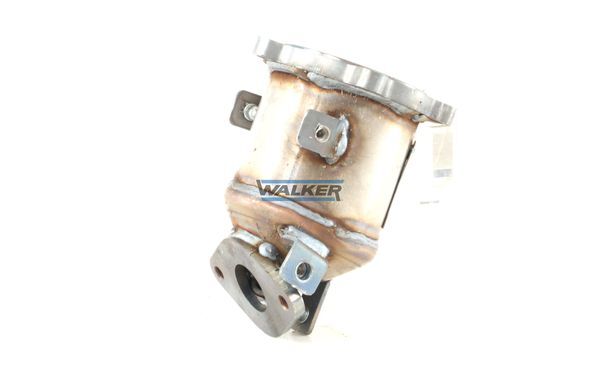 WALKER, Catalyseur