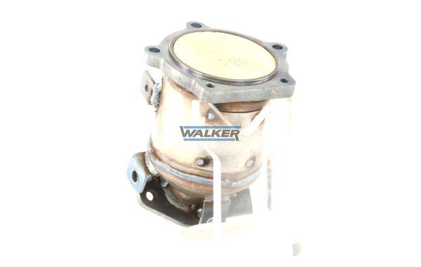 WALKER, Catalyseur