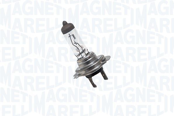 MAGNETI MARELLI, Ampoule, projecteur longue portée