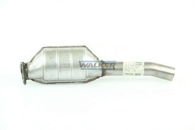 WALKER, Catalyseur