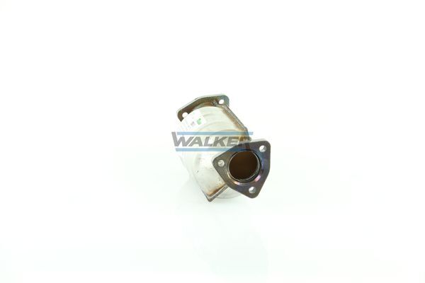 WALKER, Catalyseur