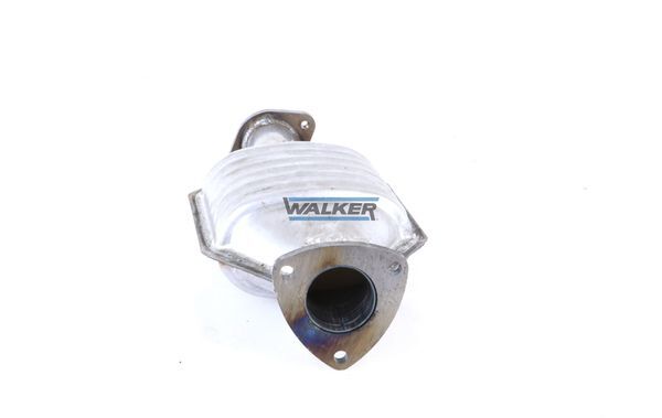 WALKER, Catalyseur