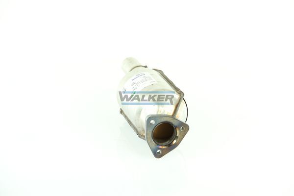 WALKER, Catalyseur