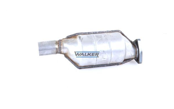 WALKER, Catalyseur