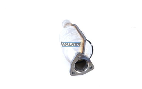 WALKER, Catalyseur