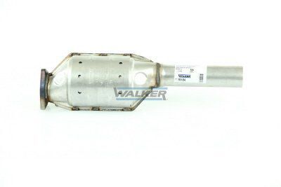 WALKER, Catalyseur