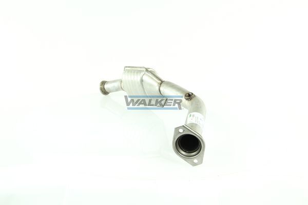 WALKER, Catalyseur