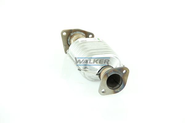 WALKER, Catalyseur