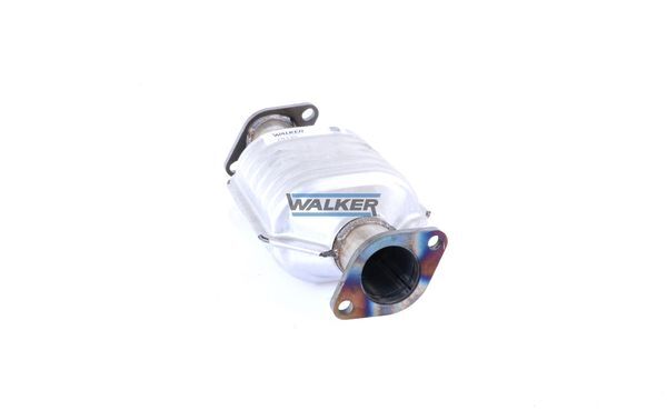 WALKER, Catalyseur