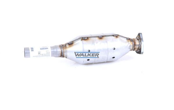 WALKER, Catalyseur