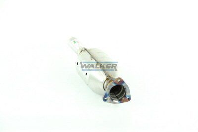 WALKER, Catalyseur