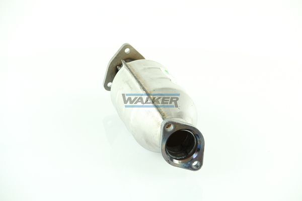 WALKER, Catalyseur